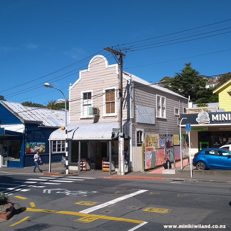 Aro Street Shop in Wellington