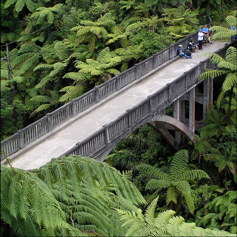 Bridge To Nowhere in Wanganui National Park
