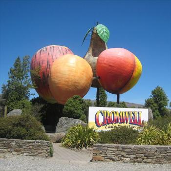 Big Fruits in Cromwell